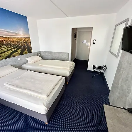 Asgard Hotell 3*