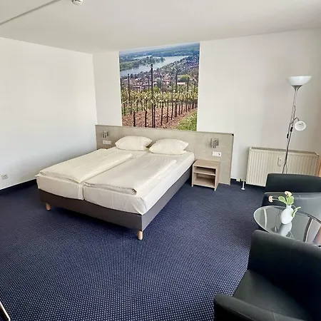 阿斯伽德酒店 3* 沃尔姆斯